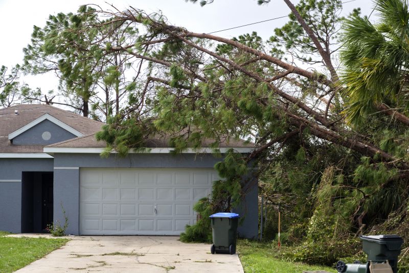 Fallen Tree Removal in Bucks County, PA